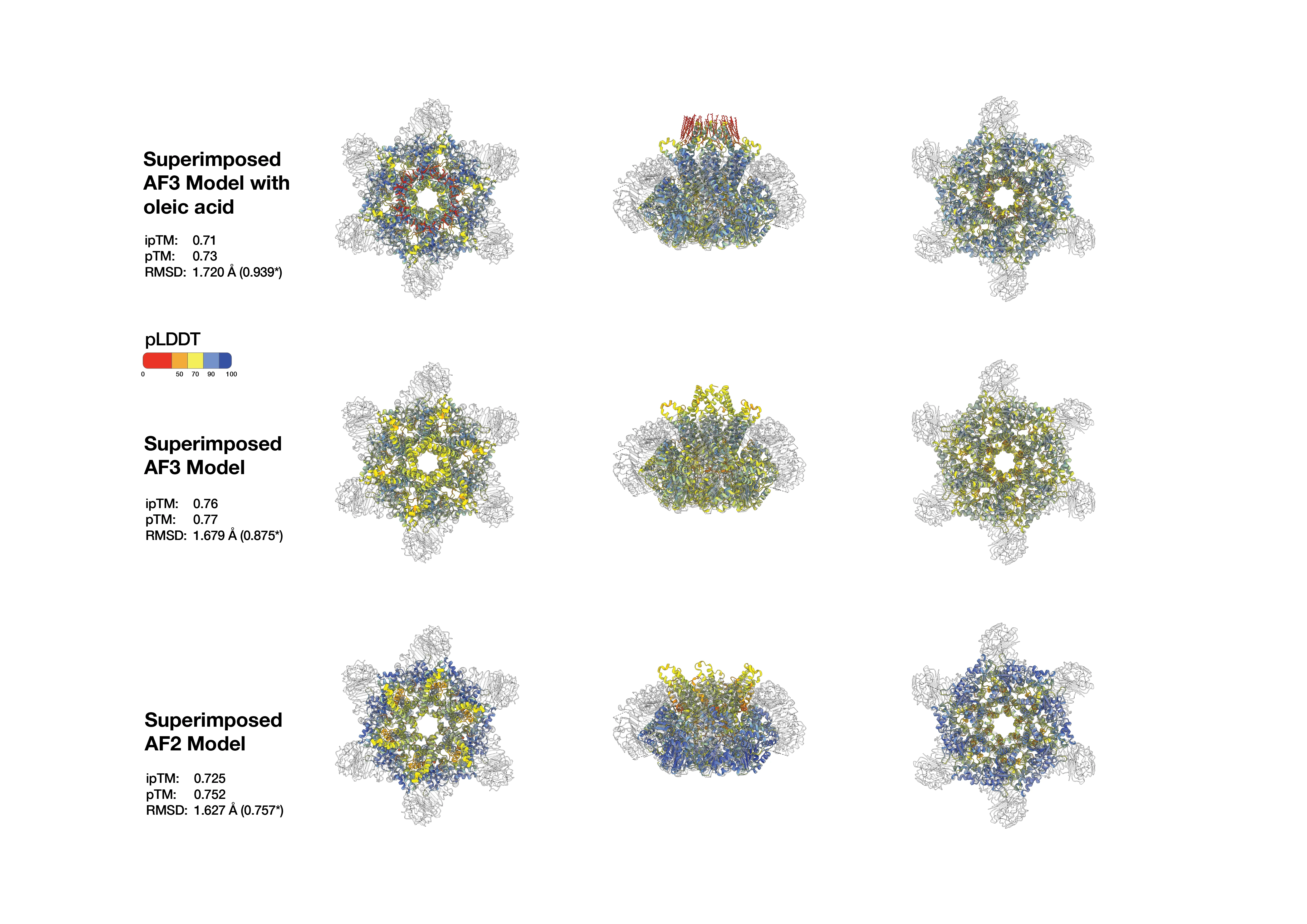 AlphaFold 3 predicts lipid-bound NbNRC2 resistosome