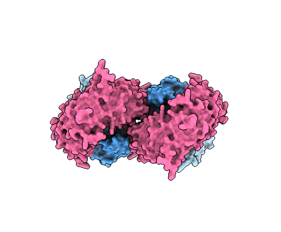 NbNRC2 homodimer